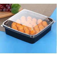 800ml (21cm) Platter & Lid 25pc