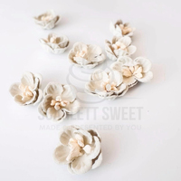 2cm Daisy Flower Ivory