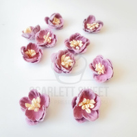 2cm Daisy Flower Pink