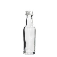 100ml Glass Long Neck Bottle Silver