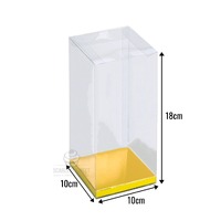 10x10x18cm PVC Clear Box Gold/Silv Insert