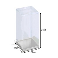 10x10x24cm PVC Clear Box Silver Insert