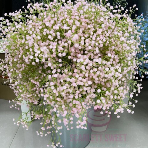 66cm Babys Breath Baby Pink