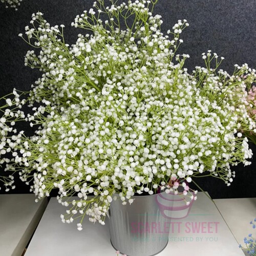 66cm Babys Breath White